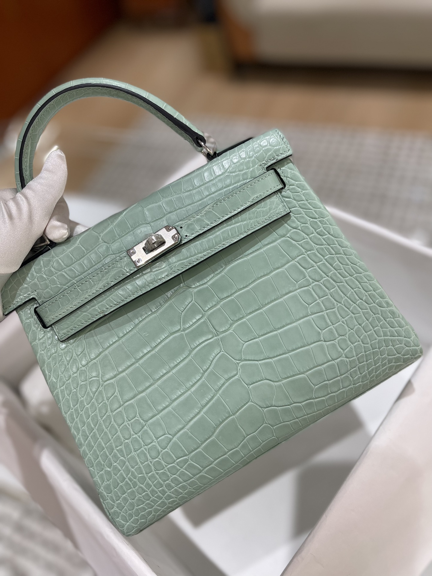 Hermes Kelly 25cm Handbag Shoulder Bag In Grey Green Shiny Crocodile Niloticus Leather